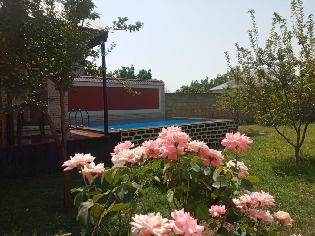 Villa Vilish Gabala Bagian luar foto